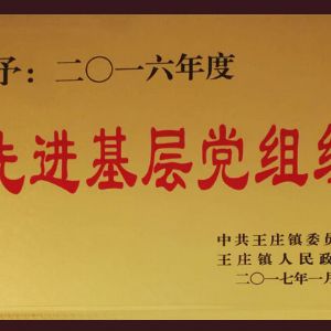 2016年度先進(jìn)基層黨組織