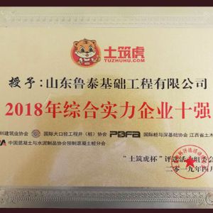 2018年度綜合實(shí)力企業(yè)十強(qiáng)